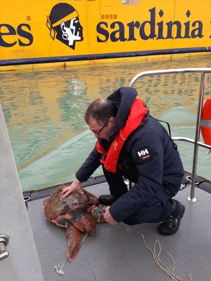 Il Pilota del Porto di Livorno, com.te Fabrizio Castellani, ha salvato una tartaruga ferita